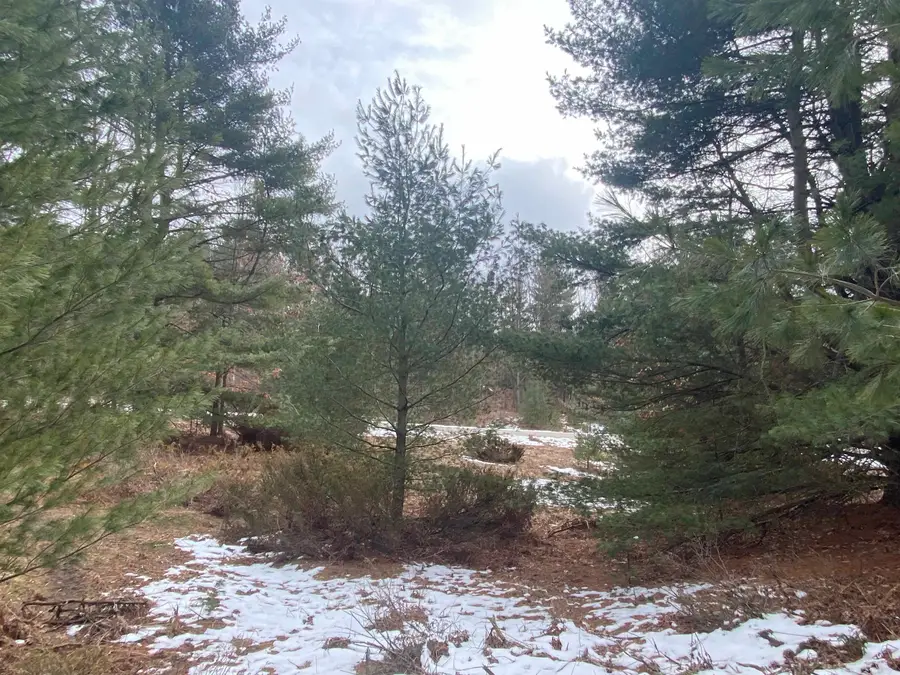 Lot 35 Scenic Hills, Williamsburg, MI 49690 - Image #3