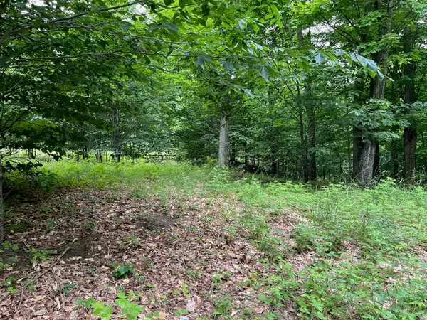 011 W Timber View, Empire, MI 49630