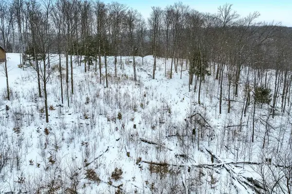Lot 11 Connemara, Boyne City, MI 49712