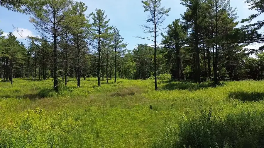 0 S Us-31, Elk Rapids, MI 49629 - Image #3