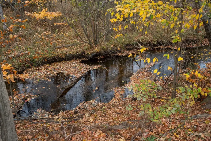 4255 E Spencer, Kalkaska, MI 49646 - Image #3