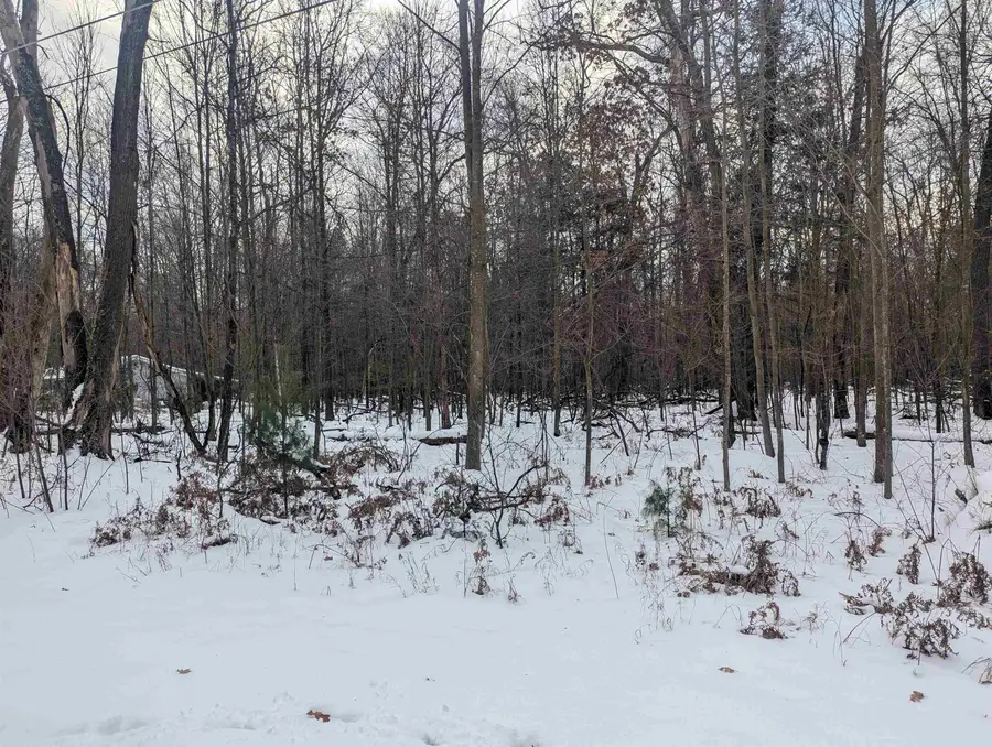 N/A Georgia Edna, Prescott, MI 48756 - Image #2