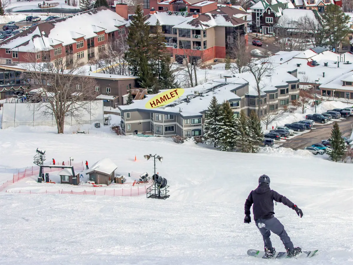 12400-Unit 171 Crystal Mountain #171, Thompsonville, MI 49683 - #1