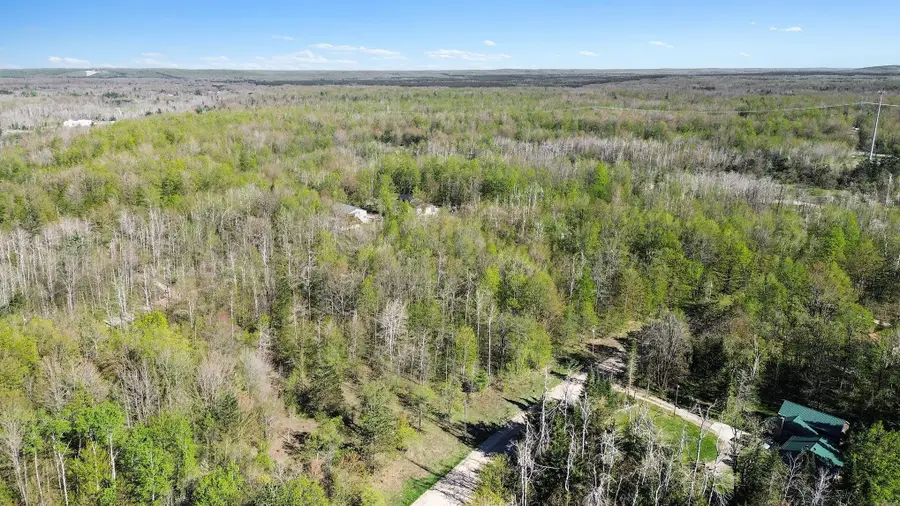 Lot 618 Pinevalley, Mancelona, MI 49659 - #3