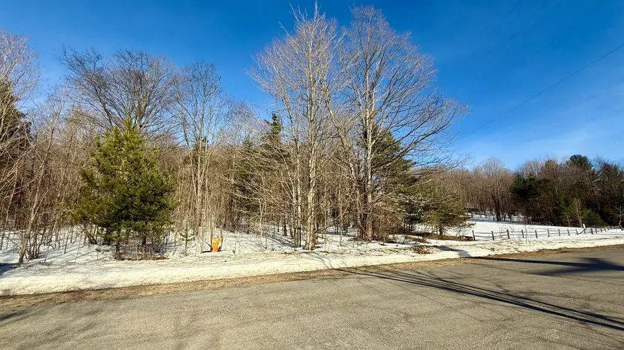 Lot 202 Clearview, Bellaire, MI 49615 - #2