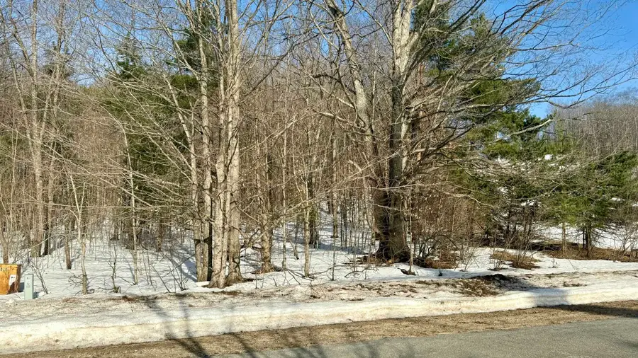 Lot 202 Clearview, Bellaire, MI 49615 - #3