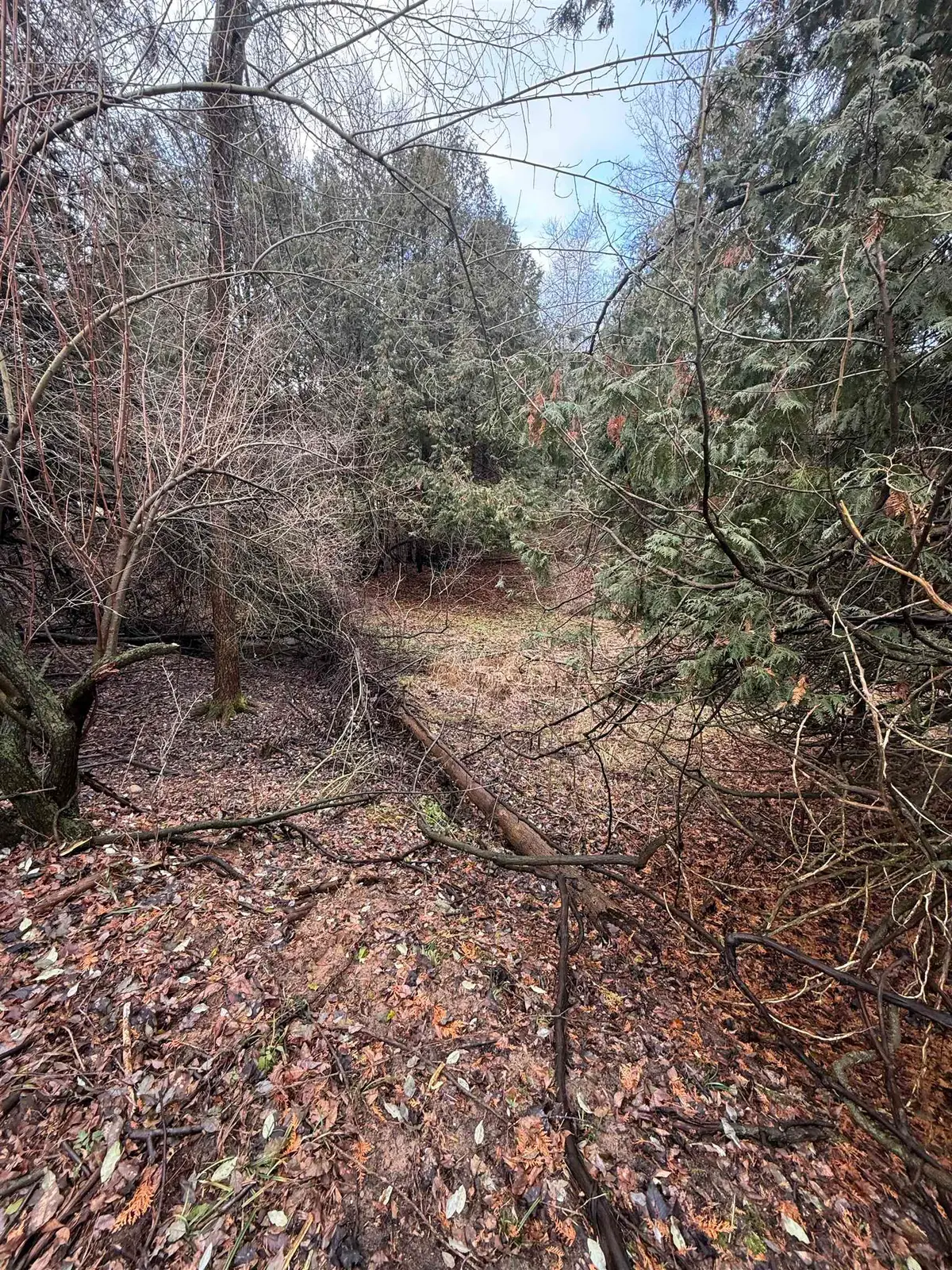 TBD Cedar, Mount Pleasant, MI 48858 - #1