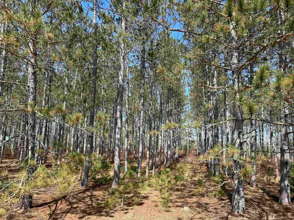 lot 4 Meadow, Thompsonville, MI 49683