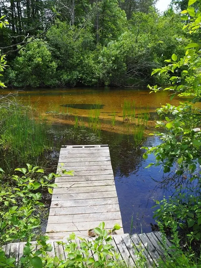 lot 4 Meadow, Thompsonville, MI 49683 - #2