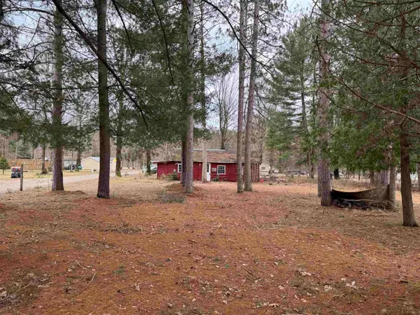 3105 N 3 1/4, Mesick, MI 49668