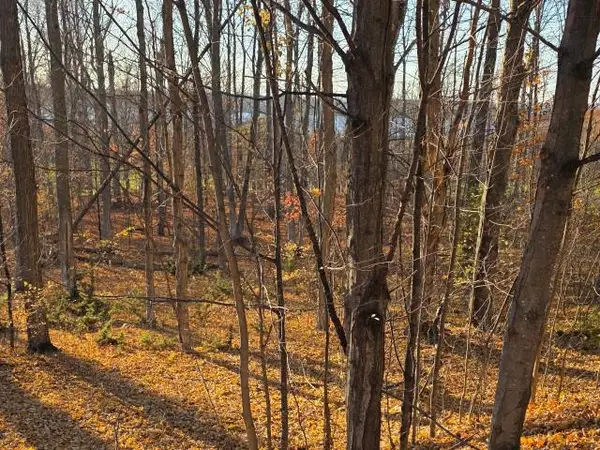 1 Palmer, Bellaire, MI 49615