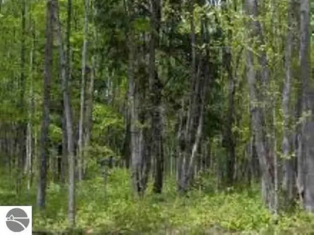 0 Cunningham, Kalkaska, MI 49646 - Image #2