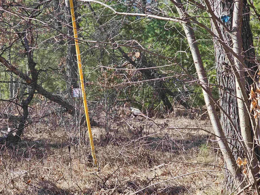 v/l Oak, Hale, MI 48739 - #2