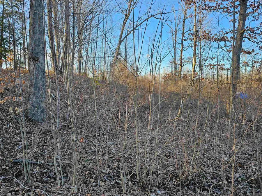 v/l Oak, Hale, MI 48739 - #3