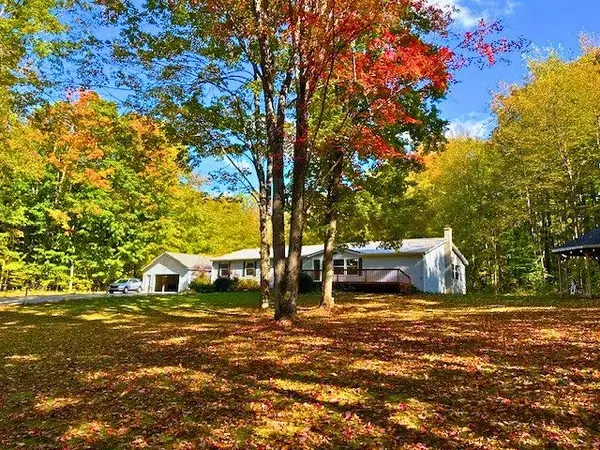 4607 Del Mason, Bellaire, MI 49615