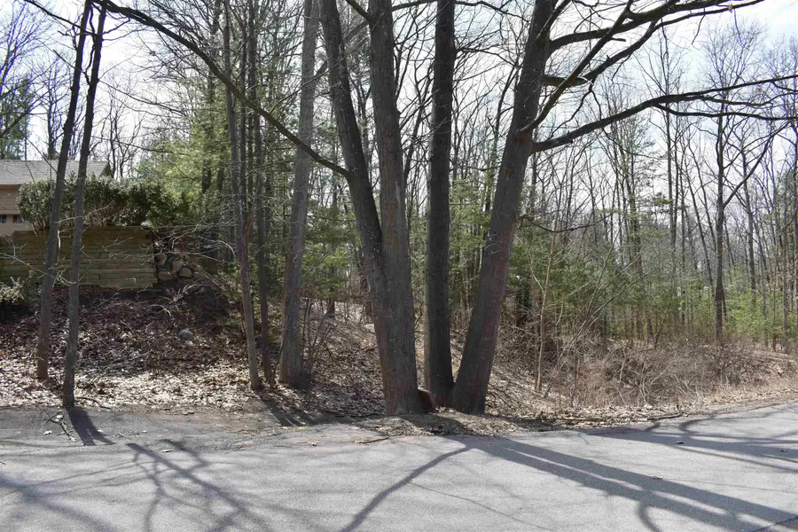 377 Peninsula Knolls, Traverse City, MI 49686 - Image #3