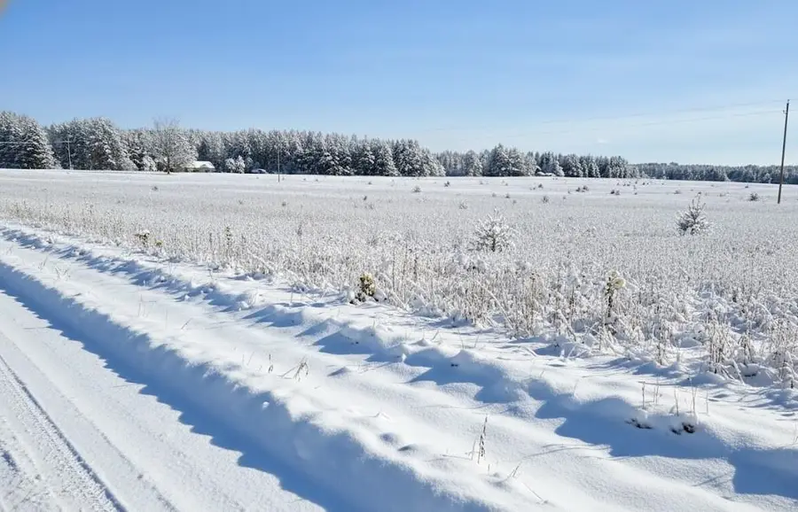 F Walton, Kingsley, MI 49649 - #2