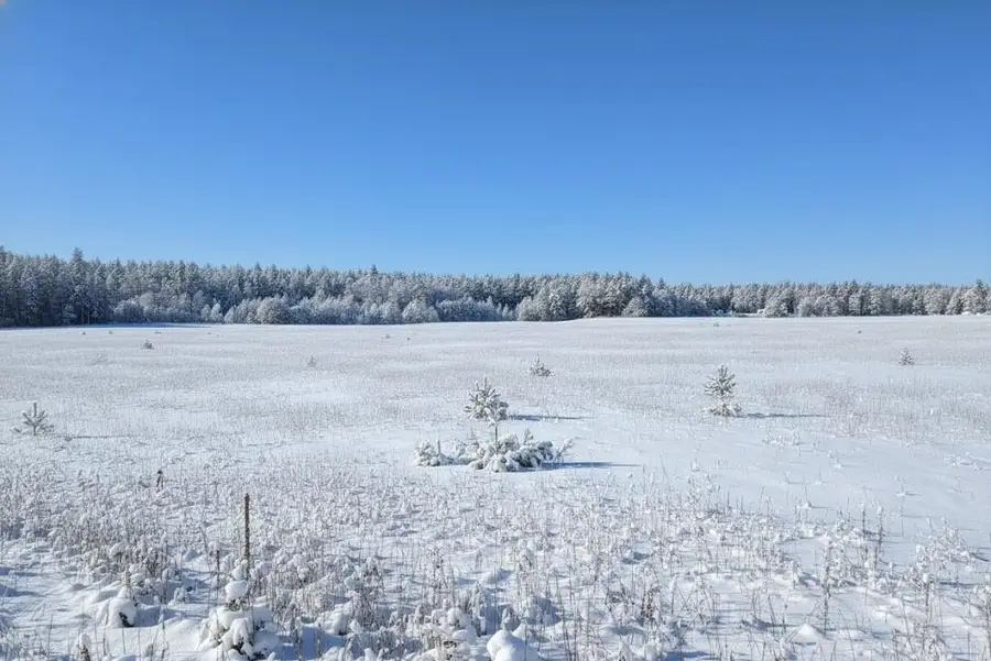 F Walton, Kingsley, MI 49649 - #3