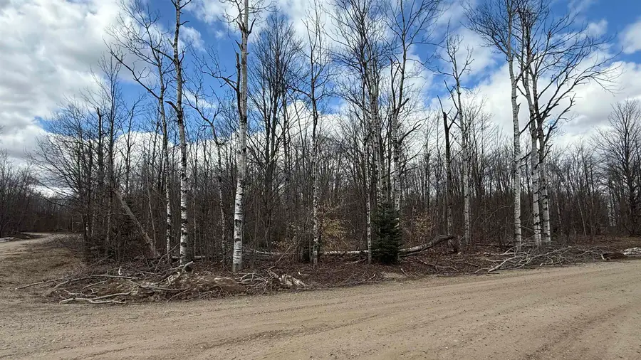 Lot 857 Hollyglen, Mancelona, MI 49659 - #3