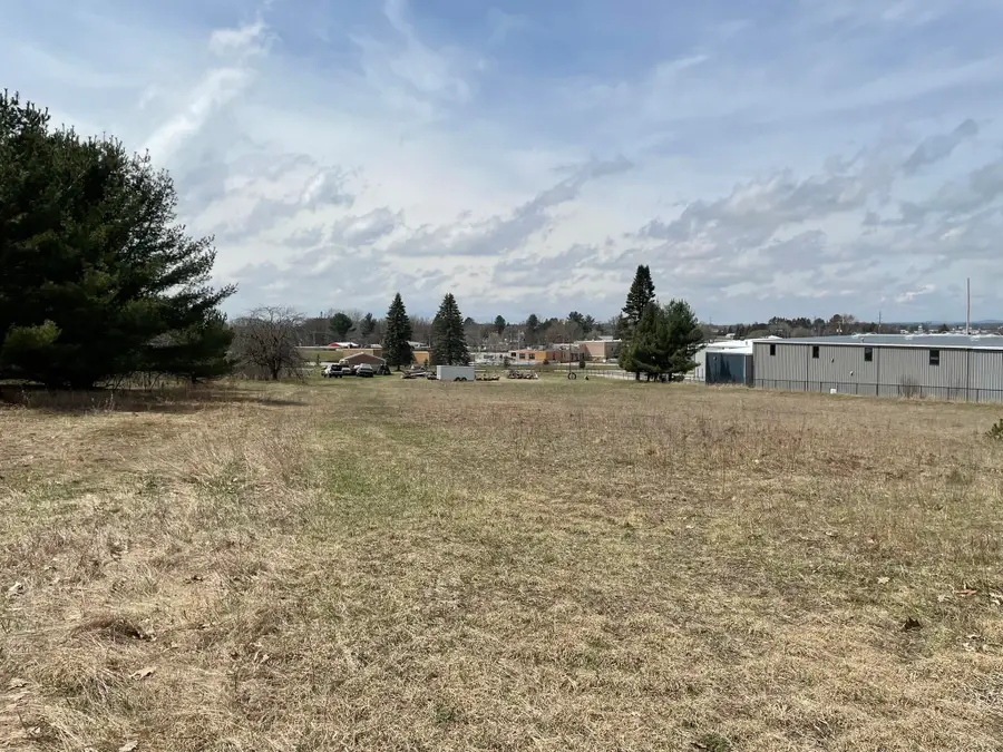 1128 Plett, Cadillac, MI 49601 - #2