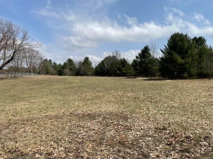 1128 Plett, Cadillac, MI 49601 - #3