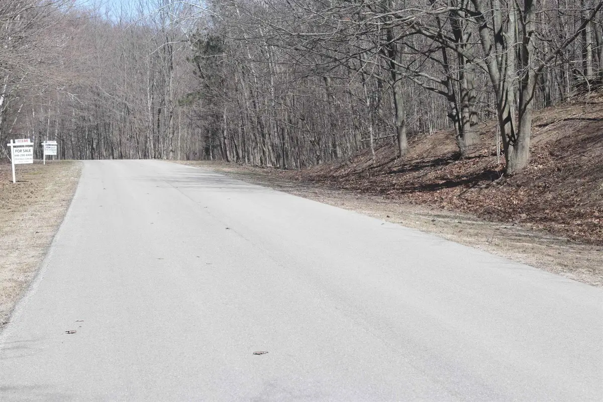 lot 19 Crystal View, Beulah, MI 49617 - #1