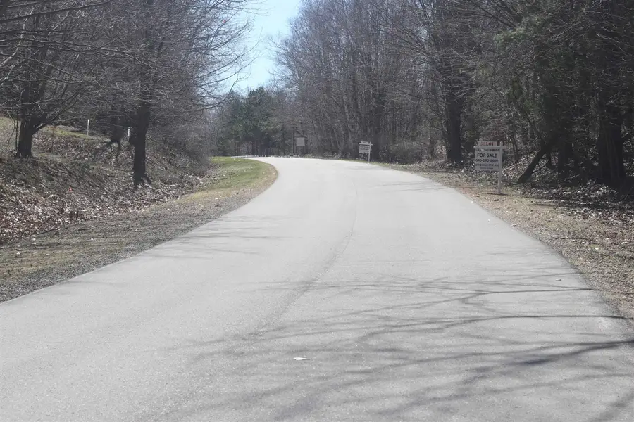 lot 19 Crystal View, Beulah, MI 49617 - #2