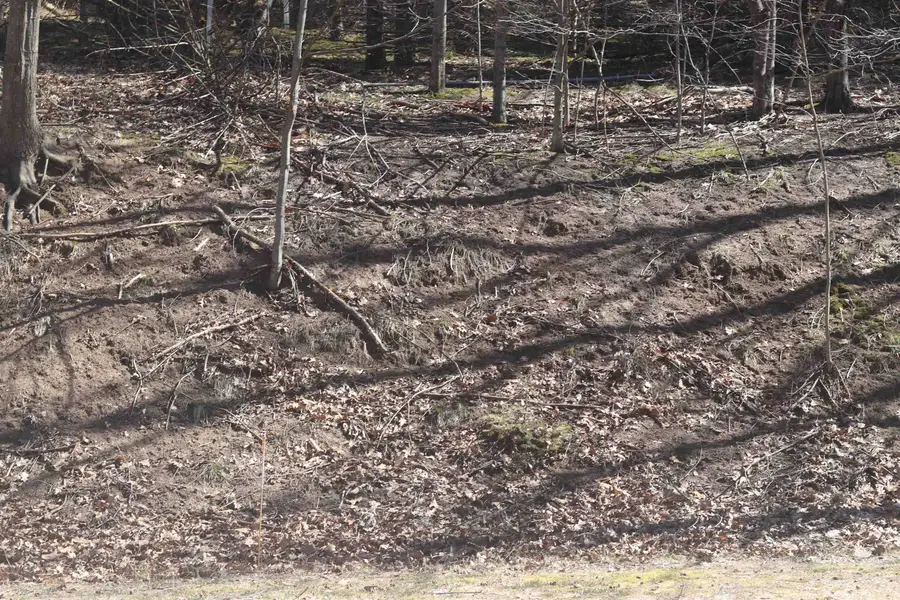 lot 19 Crystal View, Beulah, MI 49617 - #3