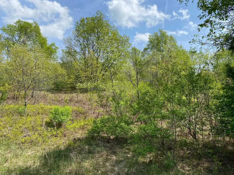 Crestview, Cadillac, MI 49601 - Image #2