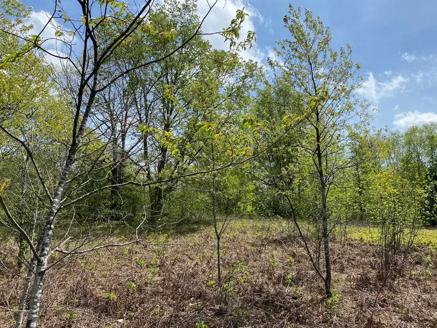 Crestview, Cadillac, MI 49601 - Image #3