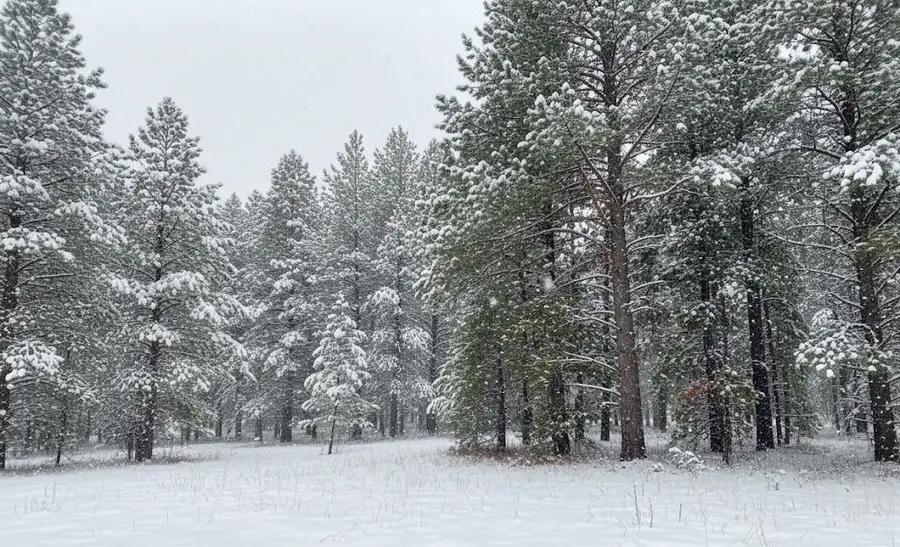 Parcel F-3 N 2 1/2, Buckley, MI 49620 - Image #2