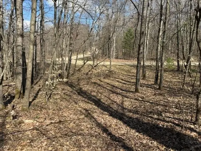 Ticino, Reed City, MI 49677 - #1