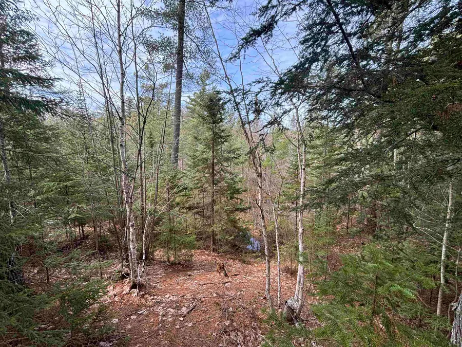 V/L 280A H-40, Rudyard, MI 49780 - #3