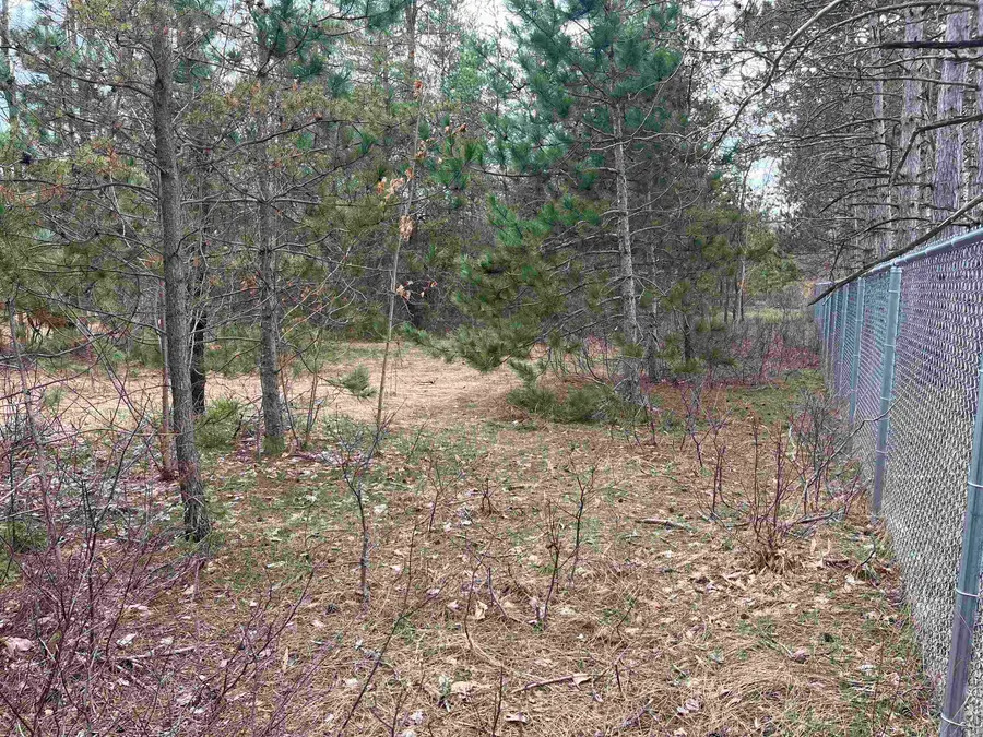 6234 NE Us-131 N, Kalkaska, MI 49646 - Image #3