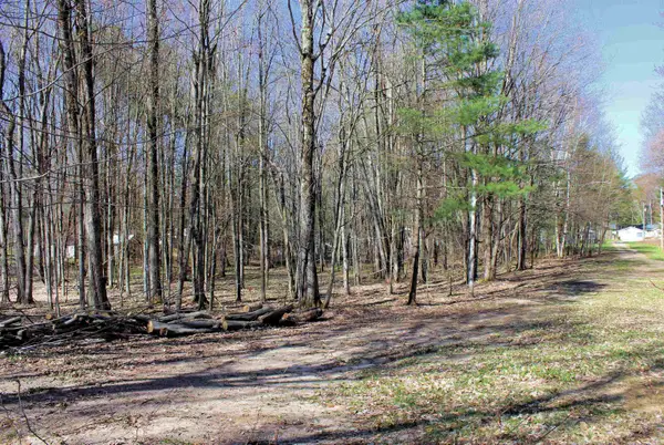 00 NE Chwastek, Kalkaska, MI 49646