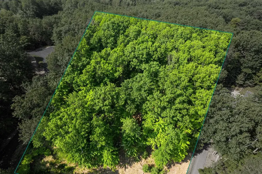 4139 Cranberry, Williamsburg, MI 49690 - Image #2