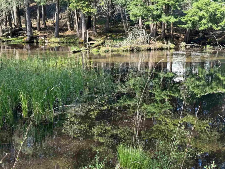 4573 N Able, Irons, MI 49644 - #3