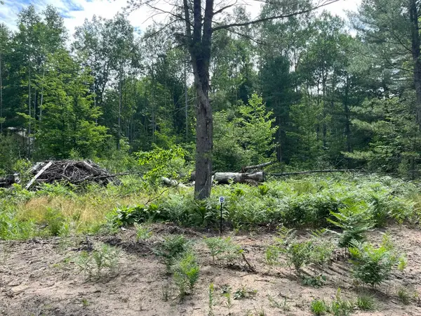 TBD Hoosier Flats, Traverse City, MI 49685