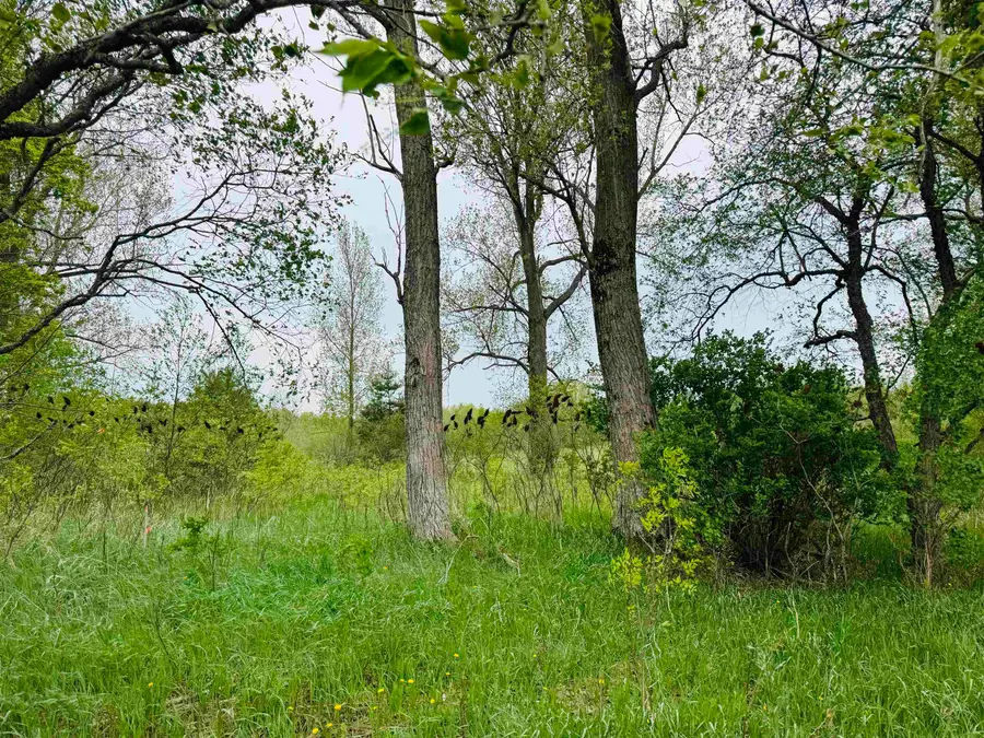 Parcel B1 W Packingham, Manton, MI 49663 - Image #3