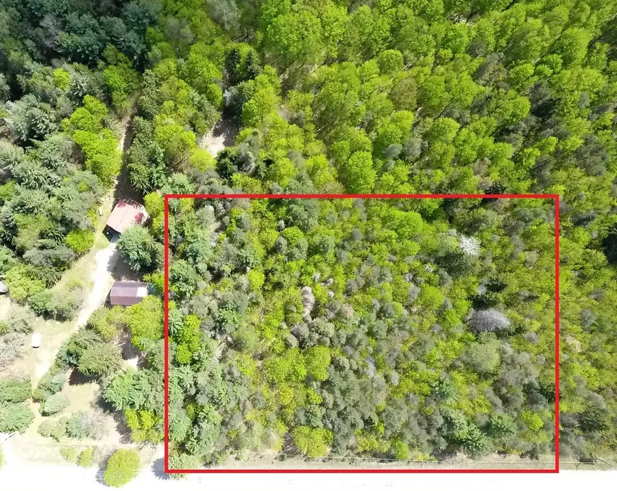 TBD E Bodus, Cedar, MI 49621 - Image #3