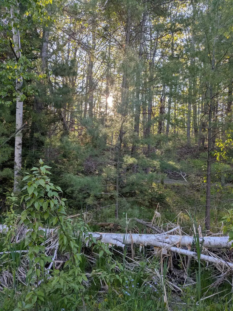 512 S Grandview Beach, Indian River, MI 49749 - Image #2