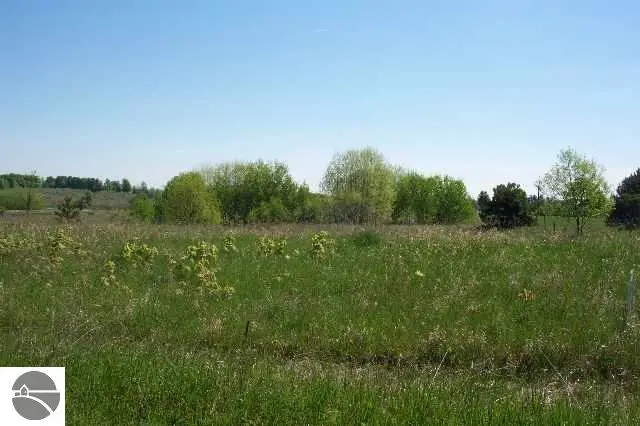 Lot 7 Torch Hills, Rapid City, MI 49676 - #3
