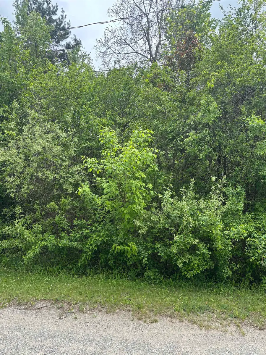 Lot 49 Leona, Mount Pleasant, MI 48858 - Image #2