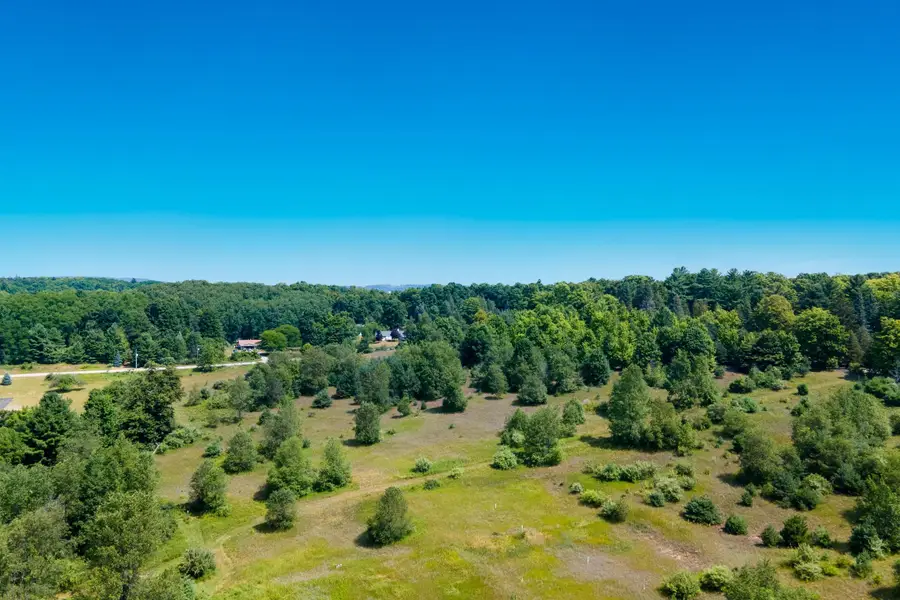 000 South, Benzonia, MI 49616 - #3