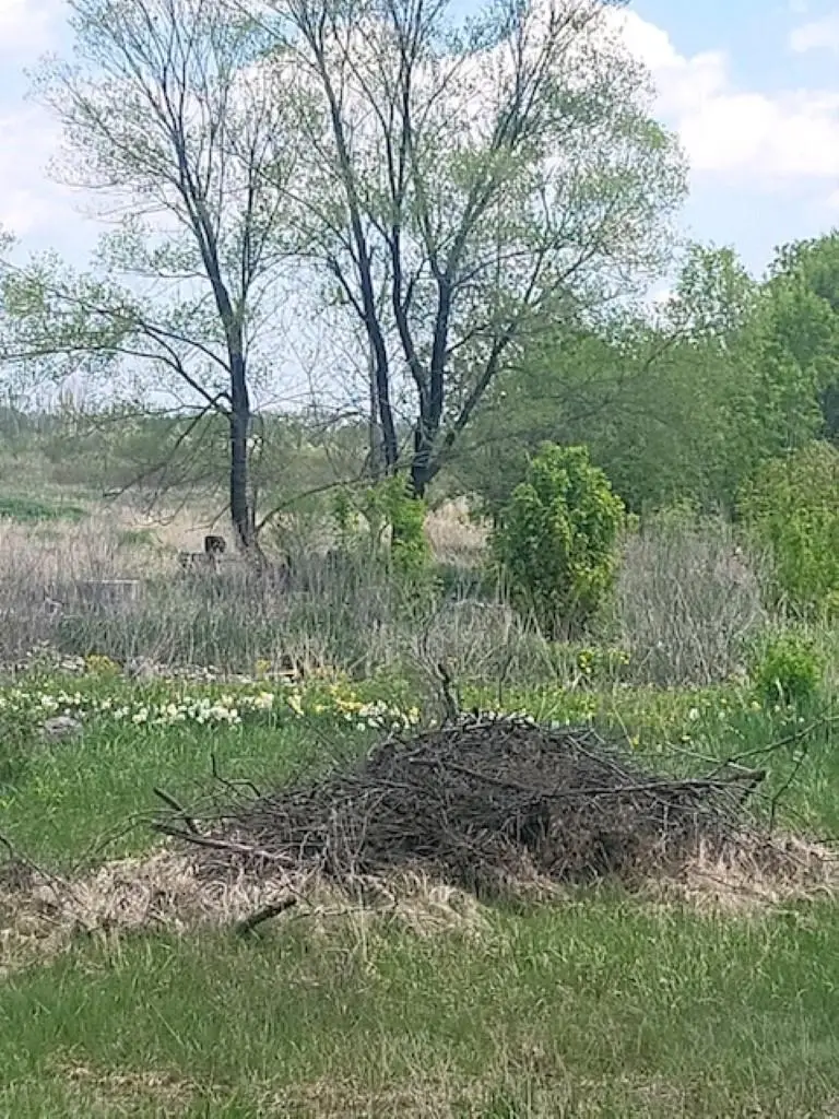 5229 Sage Lake, Prescott, MI 48756 - Image #2