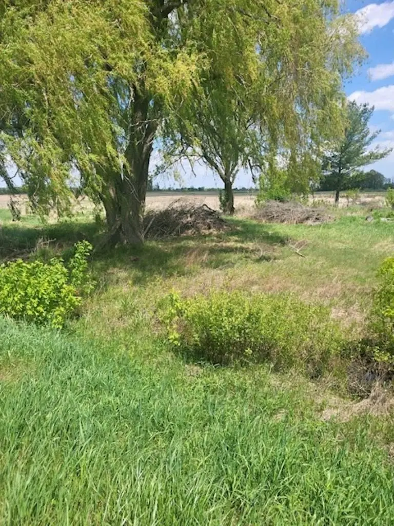 5229 Sage Lake, Prescott, MI 48756 - Image #3