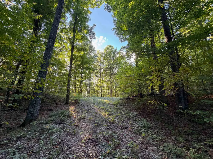 V/L Spring, Mancelona, MI 49659 - Image #2