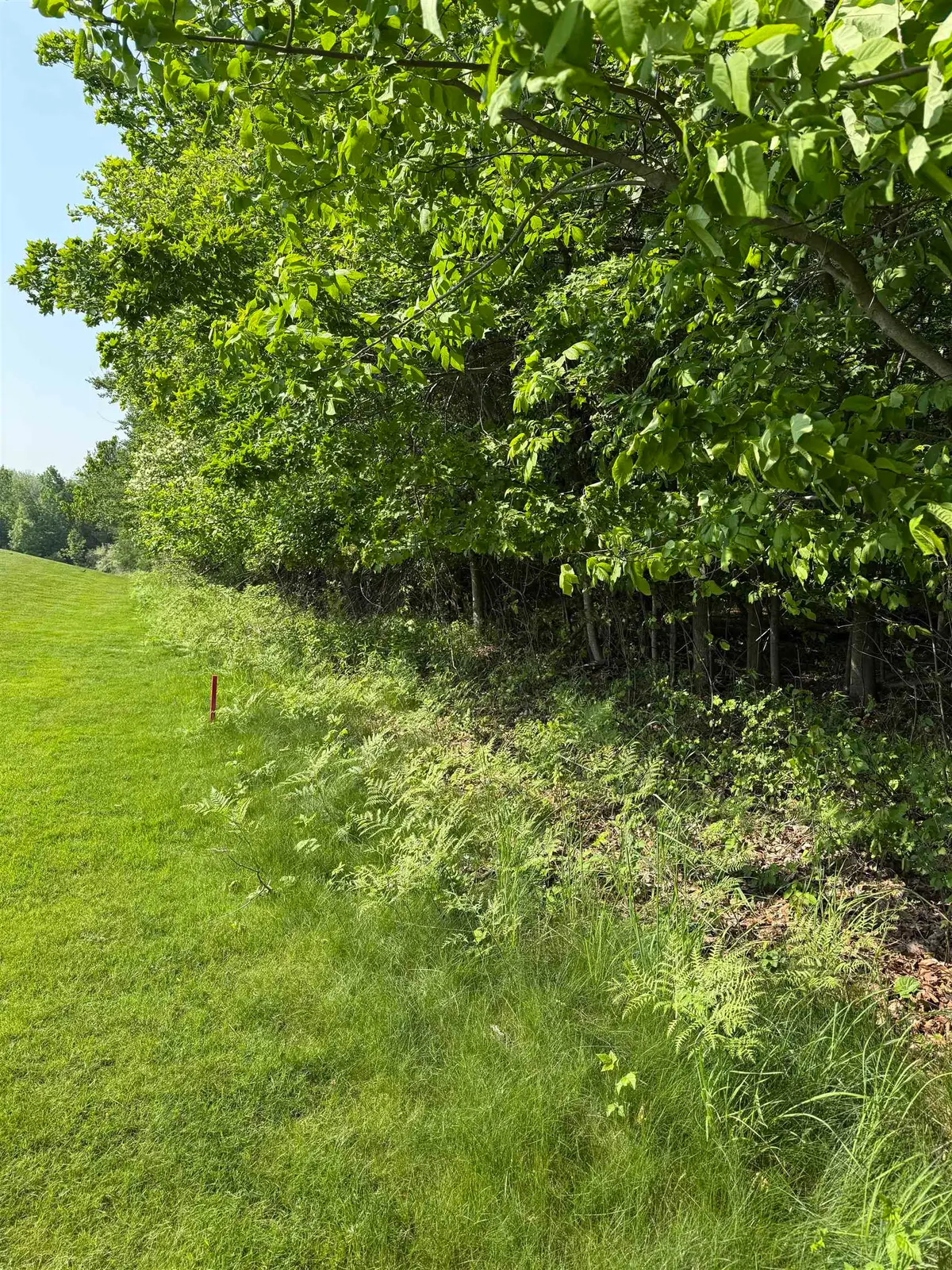 0000 Mooney, Kewadin, MI 49648 - Image #1