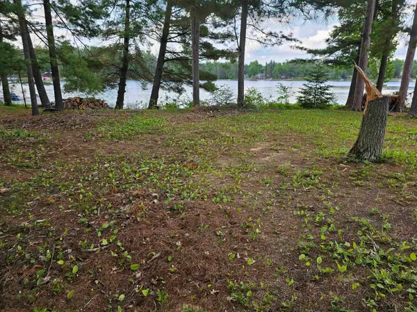 Lot 12 Paradise, South Branch, MI 48761