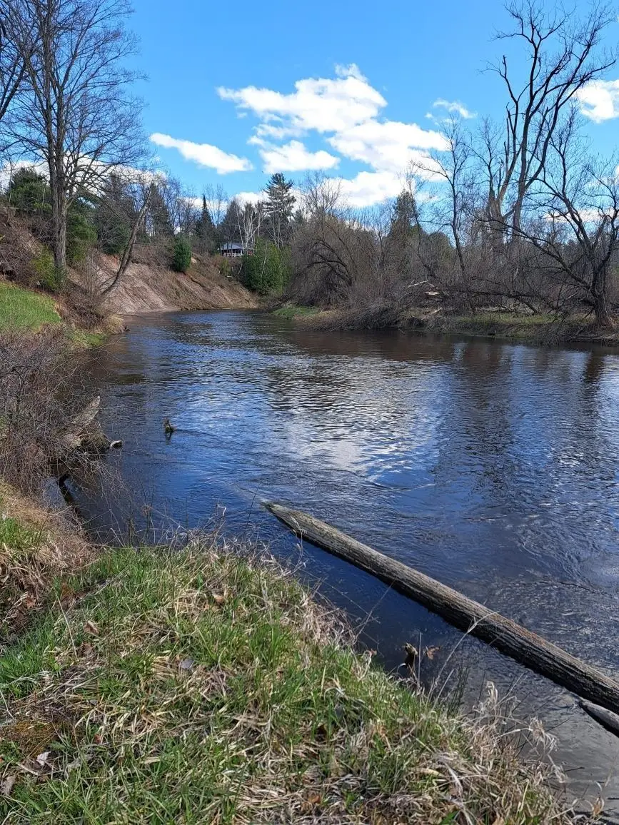 NKA Pinnacle, Omer, MI 48749 - #2